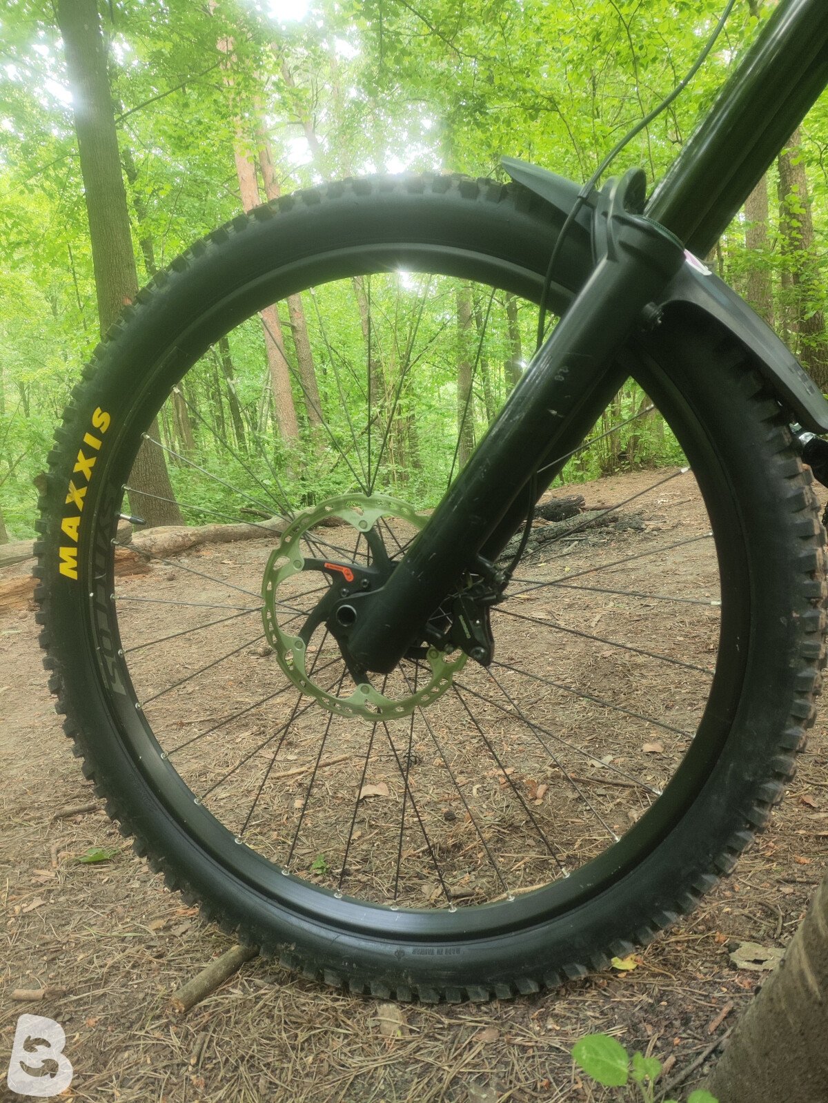 Scott Gambler 910 2023