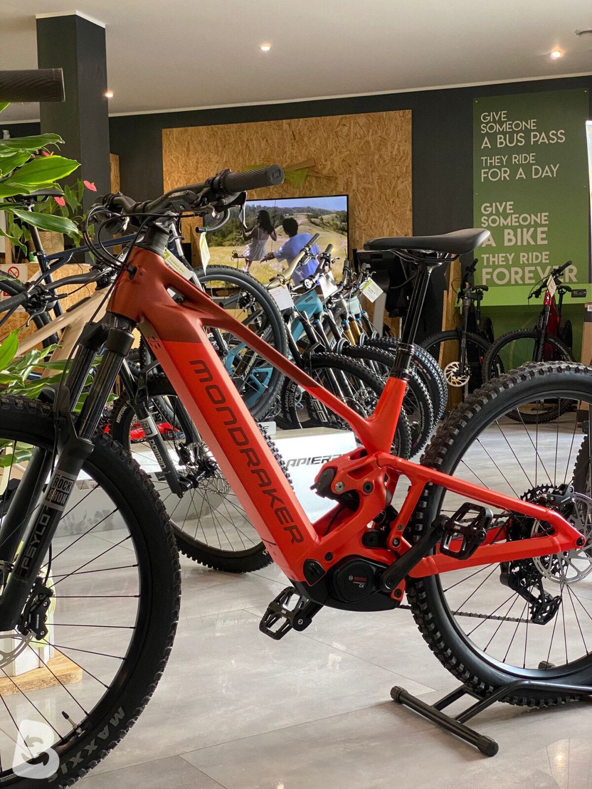 Mondraker Scree 2026