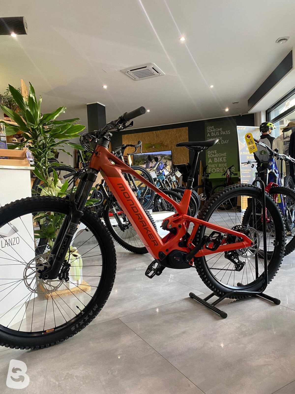 Mondraker Scree 2026