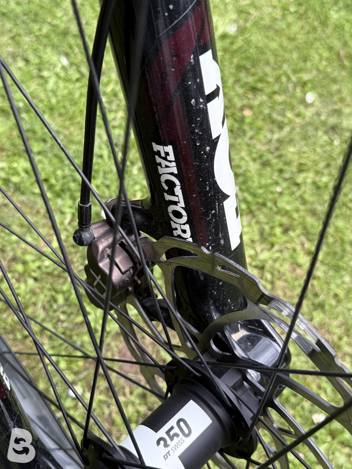Santa Cruz V10 2022