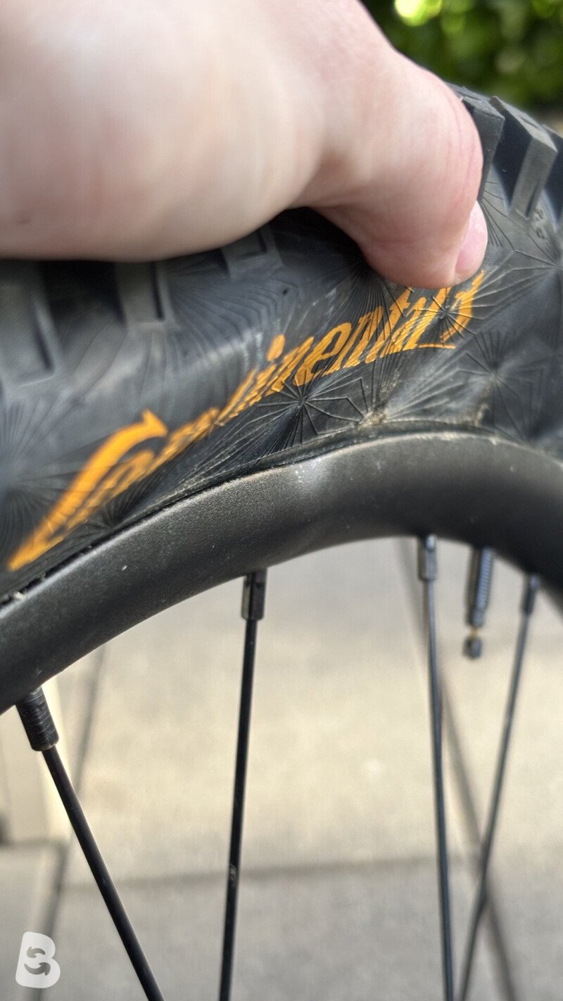 Trek Remedy 8 2022