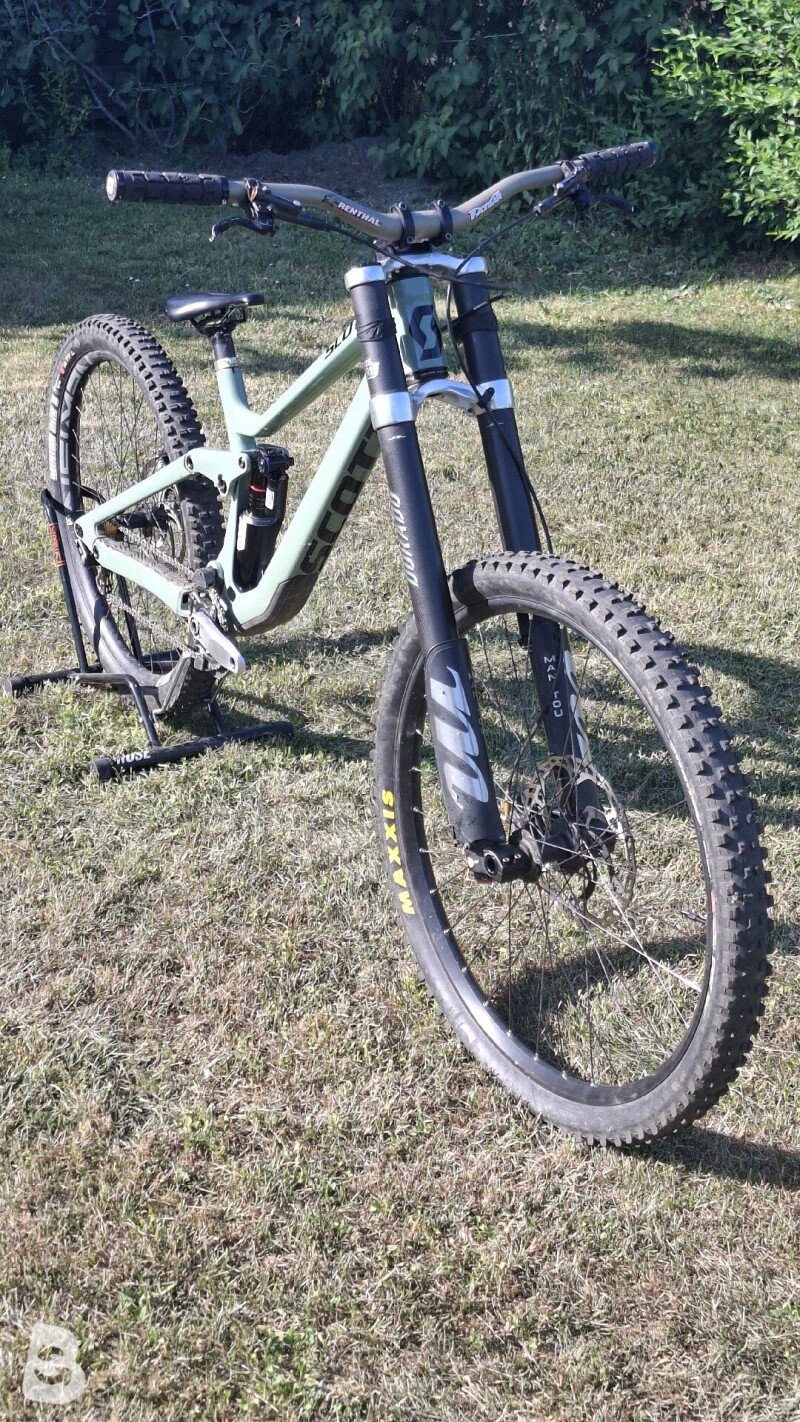 Scott Gambler 910 2021