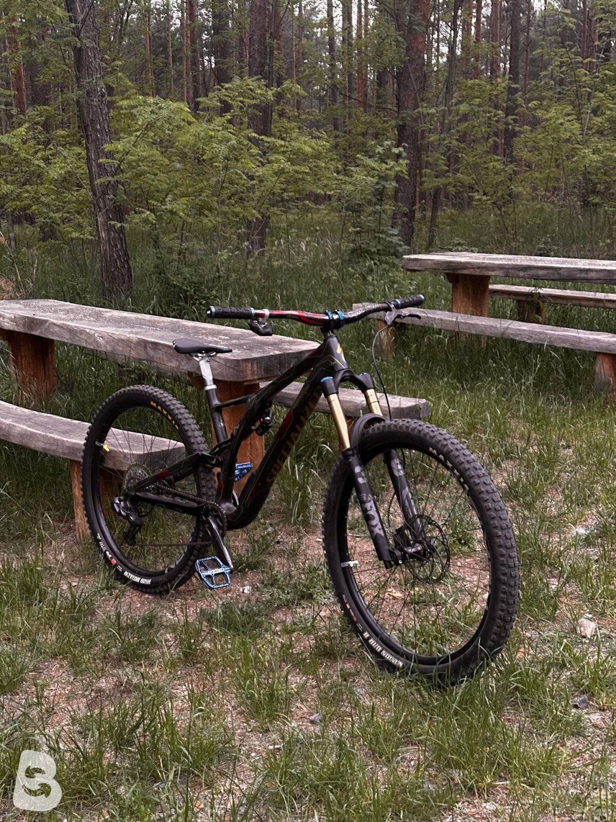 Specialized stumpjumper troy lee designs 2020