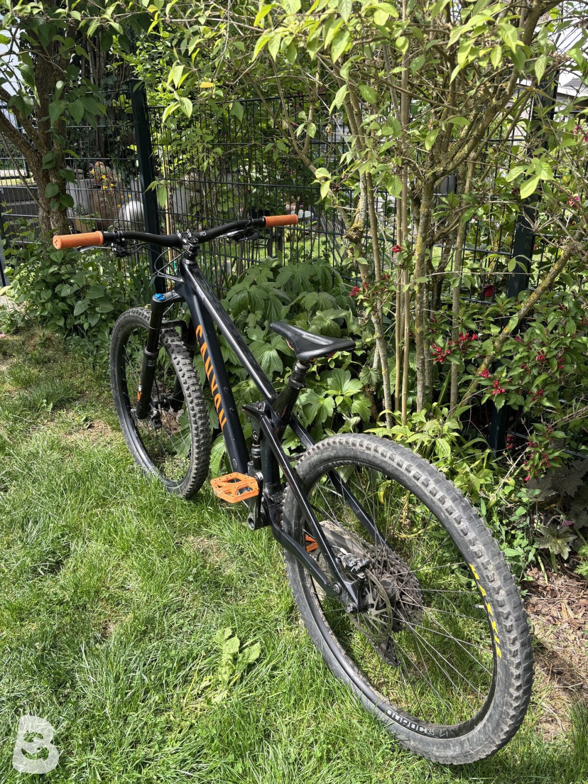 Canyon Strive CF 7.0 2019