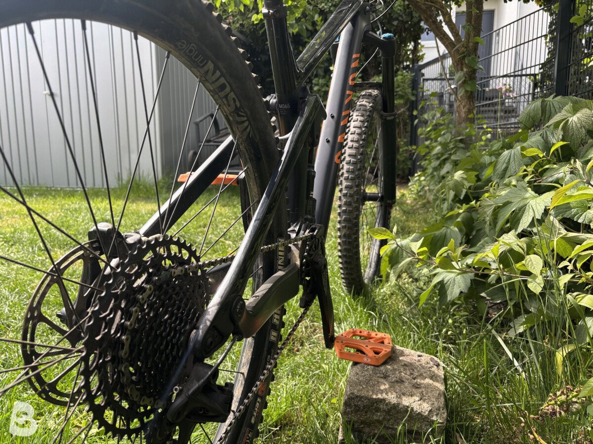 Canyon Strive CF 7.0 2019