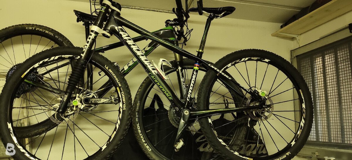 Cannondale Flash Carbon Team 2010