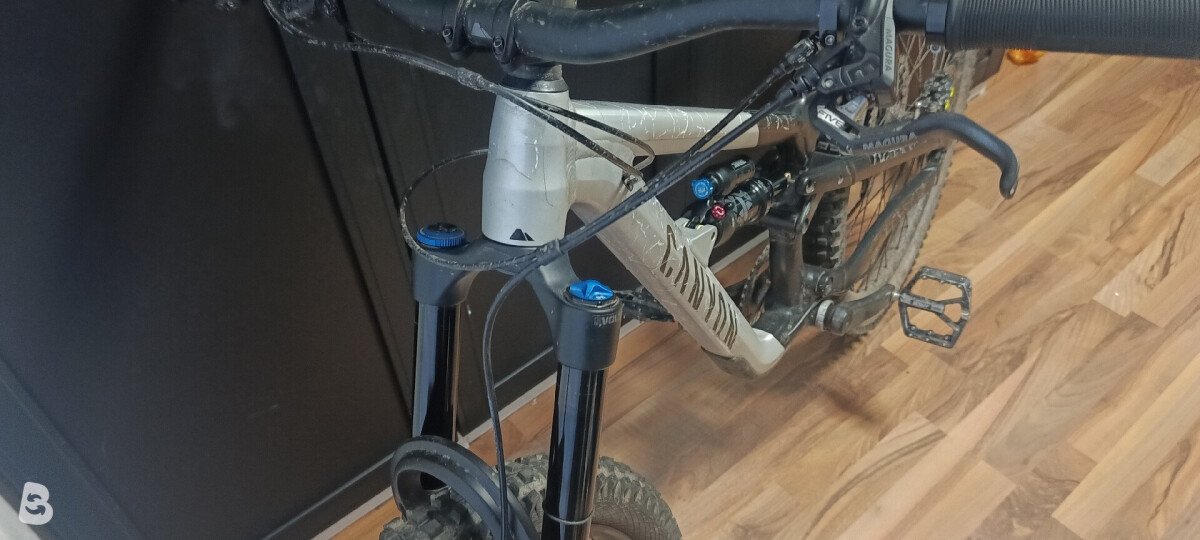 Canyon Spectral AL 5.0 2023