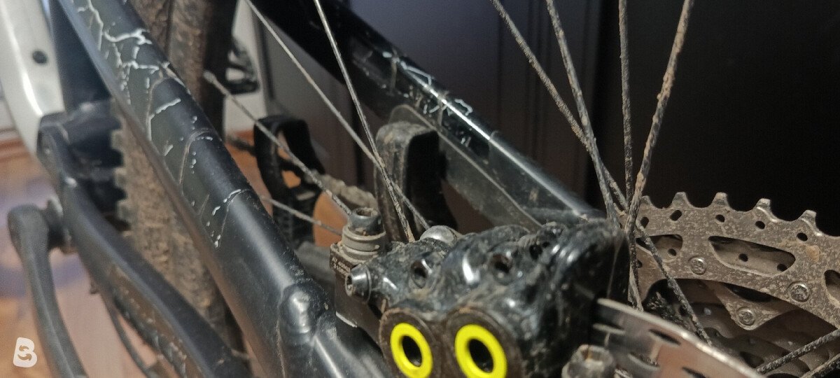 Canyon Spectral AL 5.0 2023