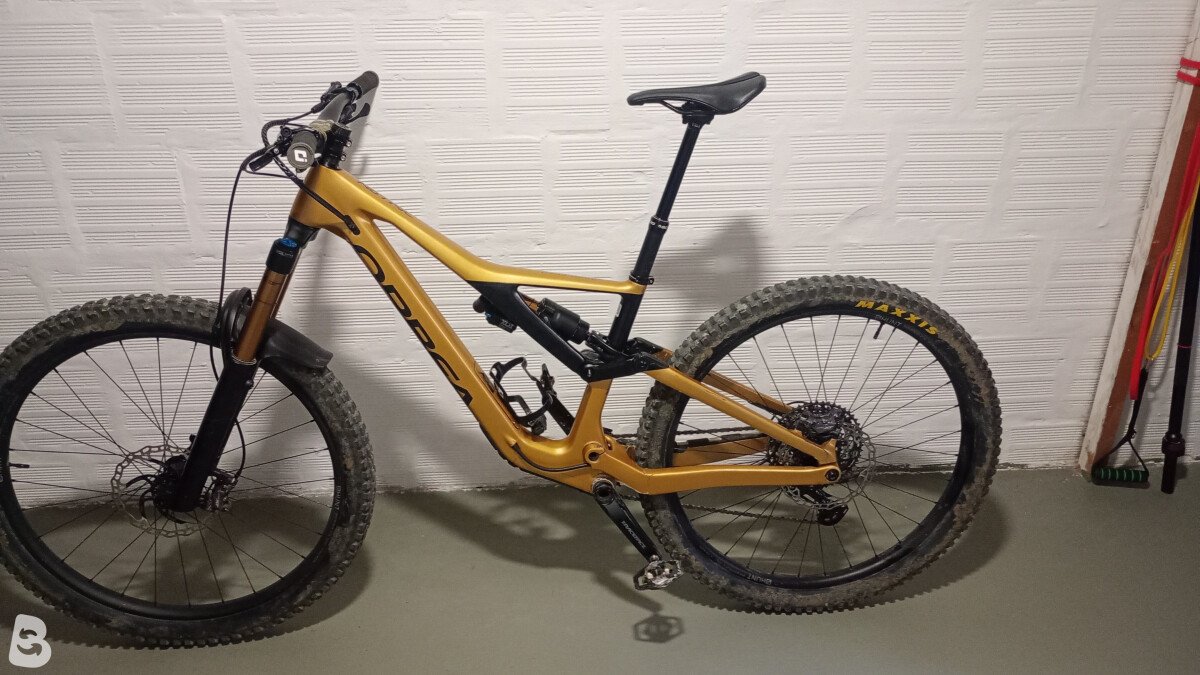 Orbea Rallon 2022