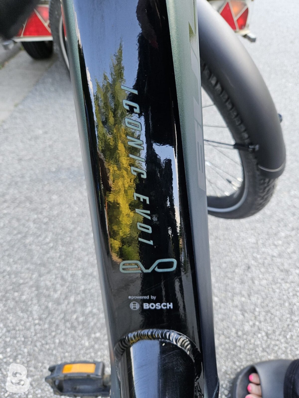 Bulls Iconic EVO 1 2021