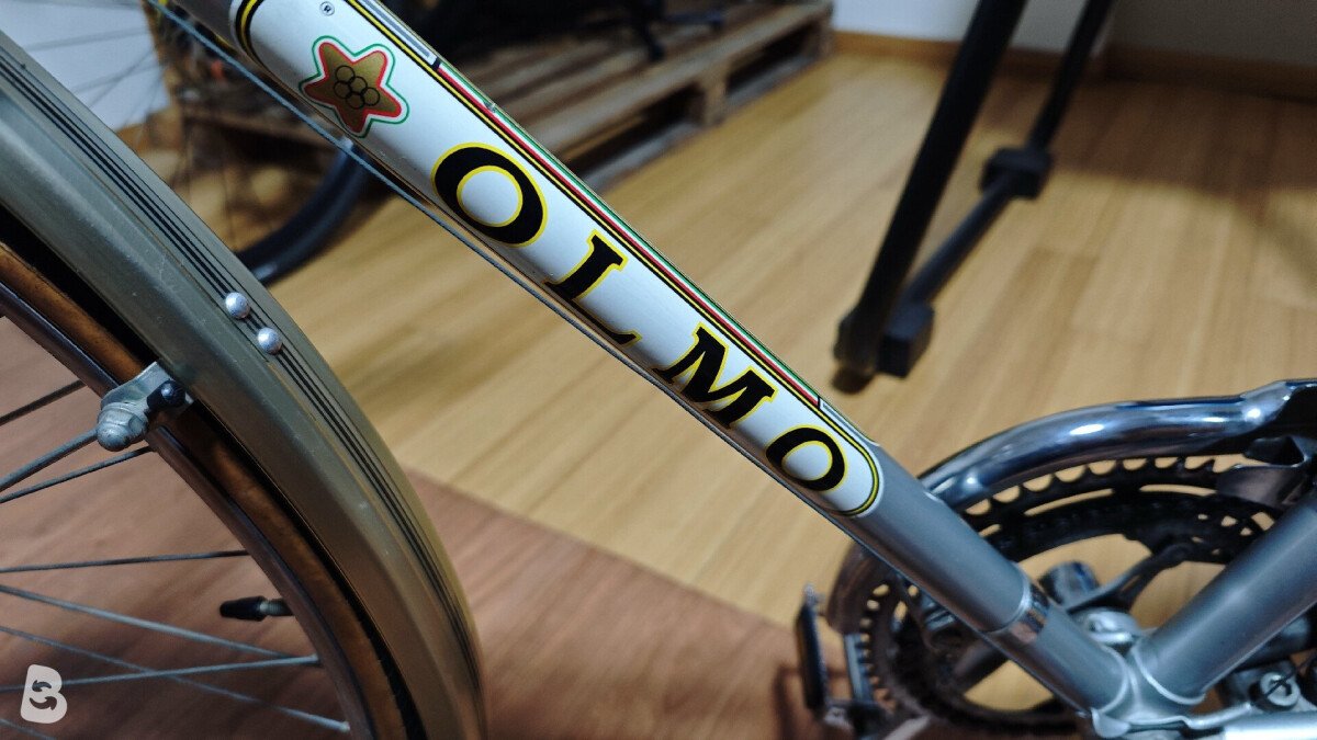 Olmo Vintage