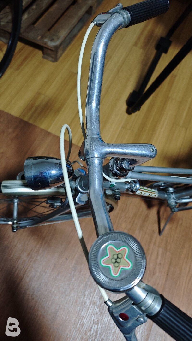 Olmo Vintage