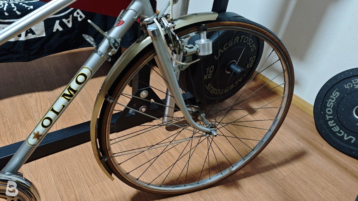 Olmo Vintage