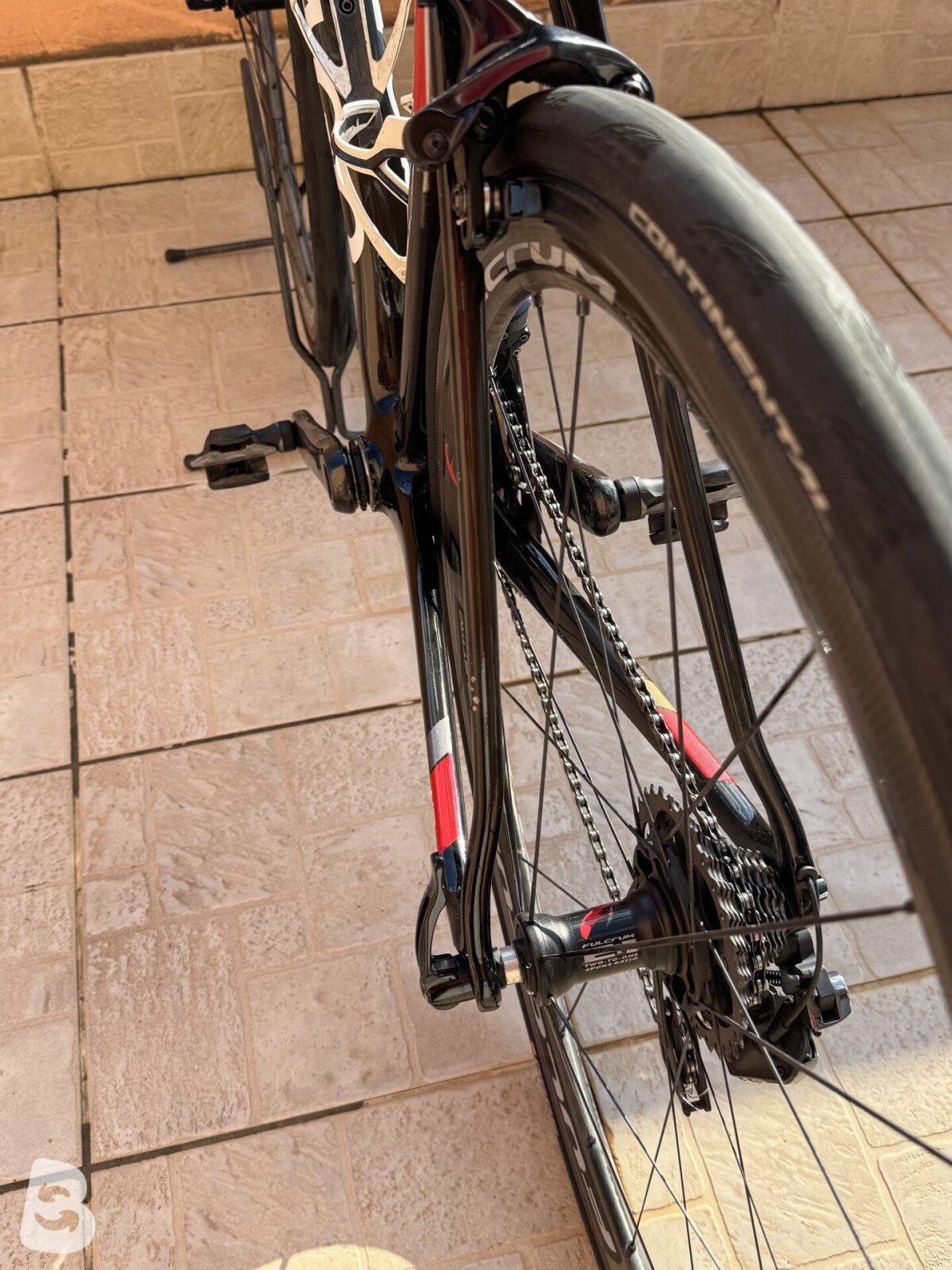Colnago V2-R Disc Kaizen Team Bike 2021