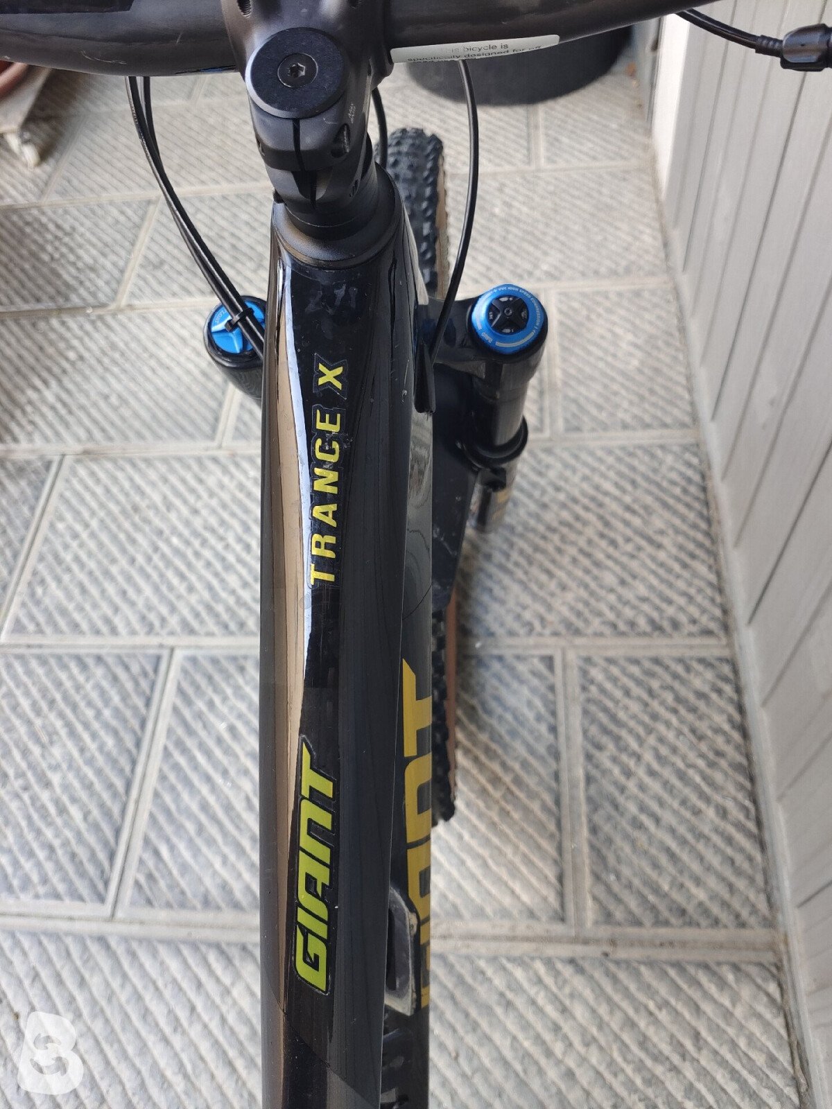 Giant TRANCE X ADVANCED PRO 29 - 1 2021