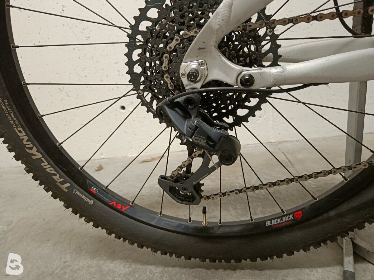 Lee Cougan Quest Team Alloy 2023