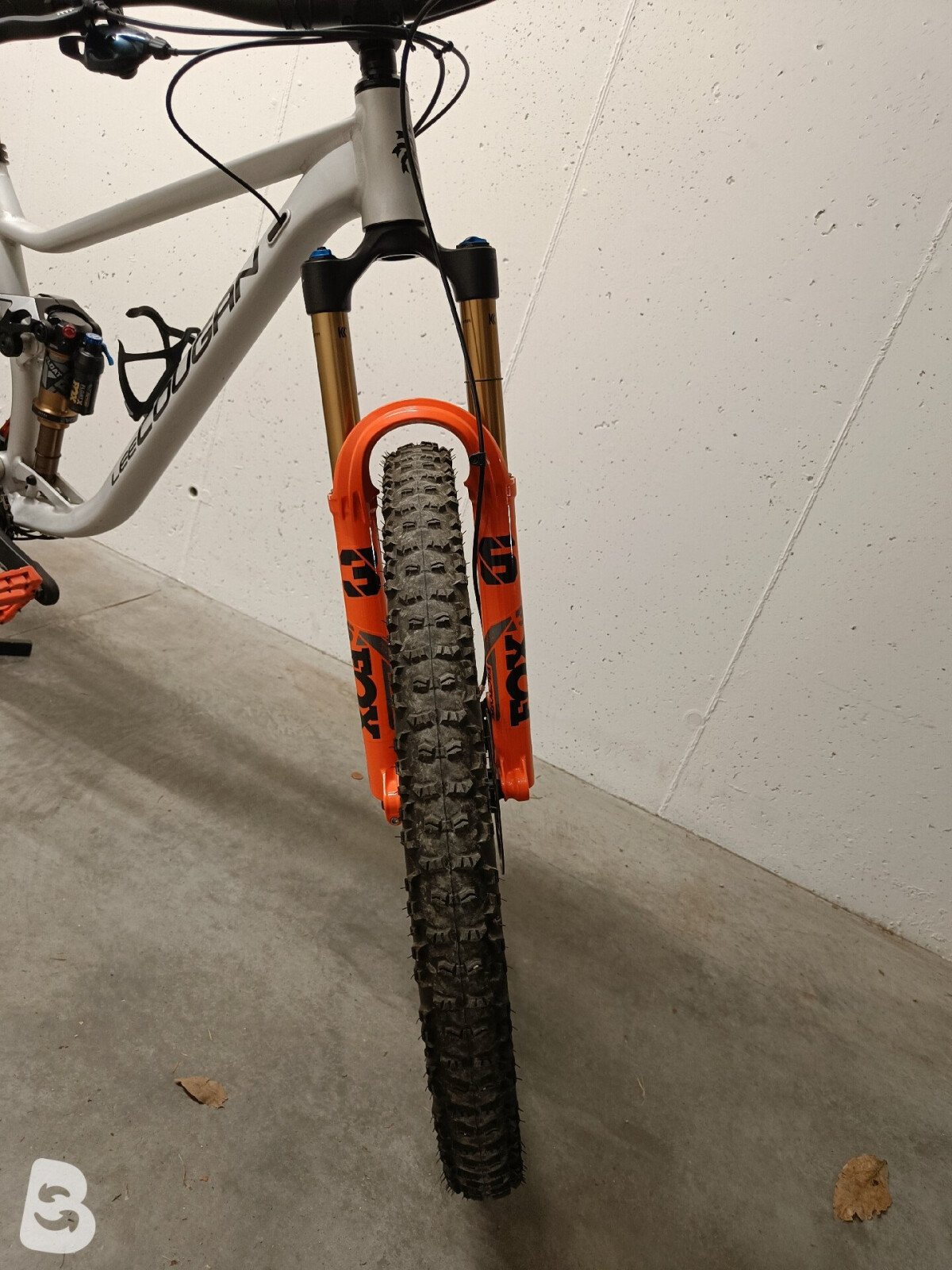 Lee Cougan Quest Team Alloy 2023