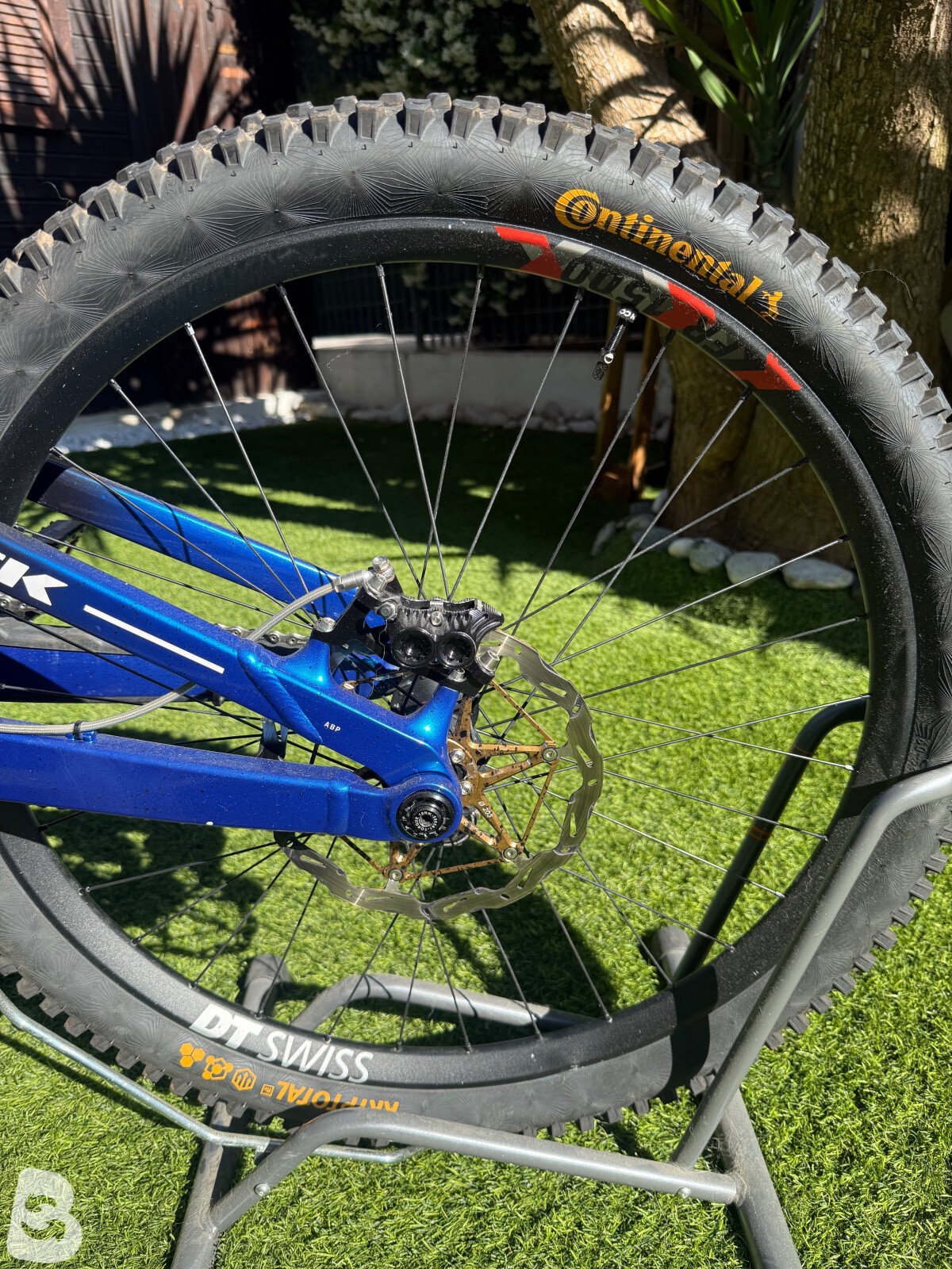 Trek Session custom 2022