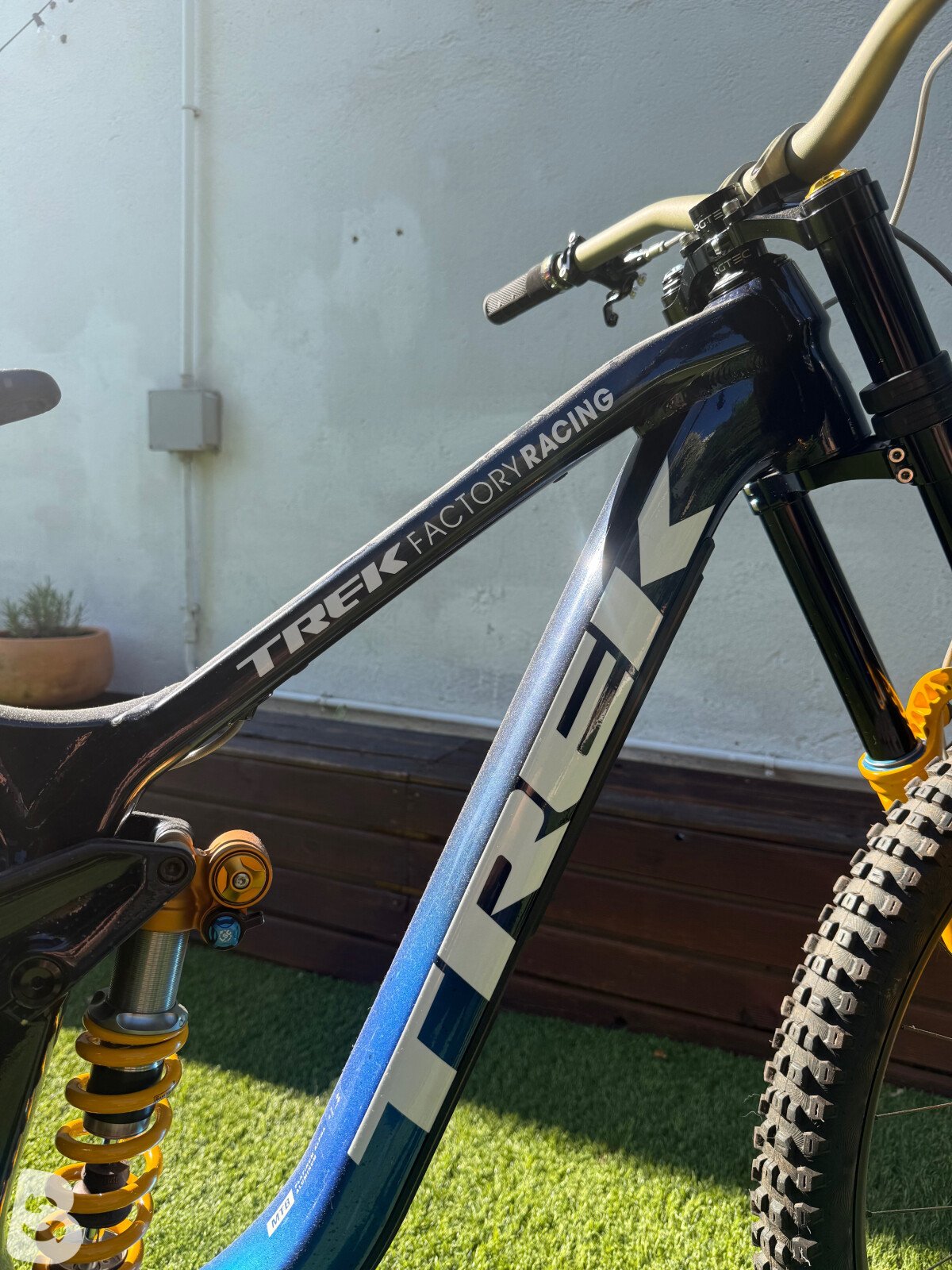 Trek Session custom 2022