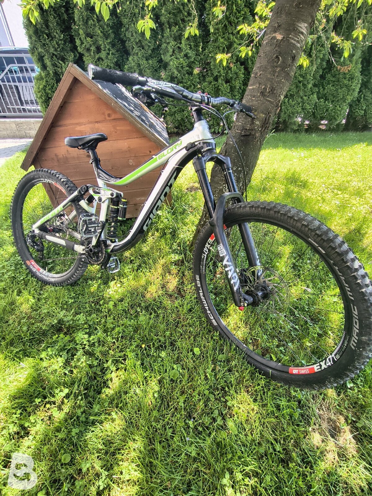 Giant glory 2017