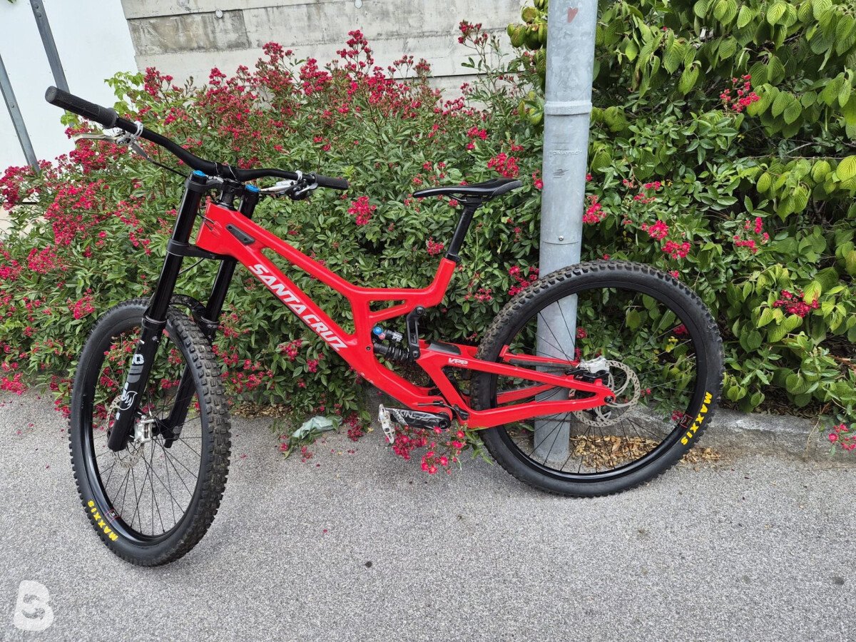 Santa Cruz v10 2024