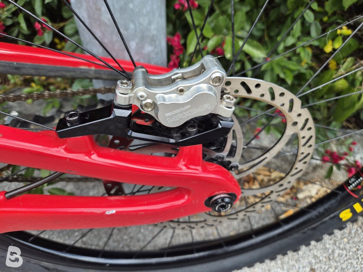 Santa Cruz v10 2024