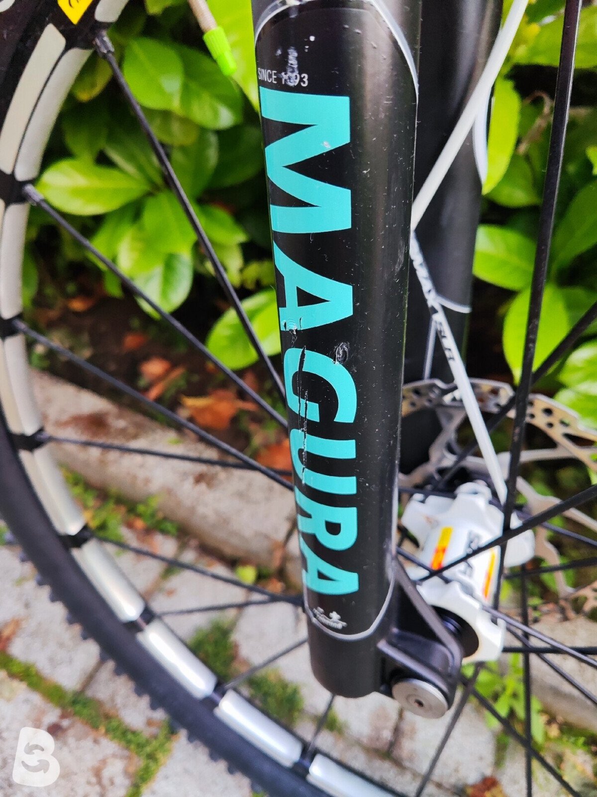 Bianchi Methanol 29 Carbonio 2013