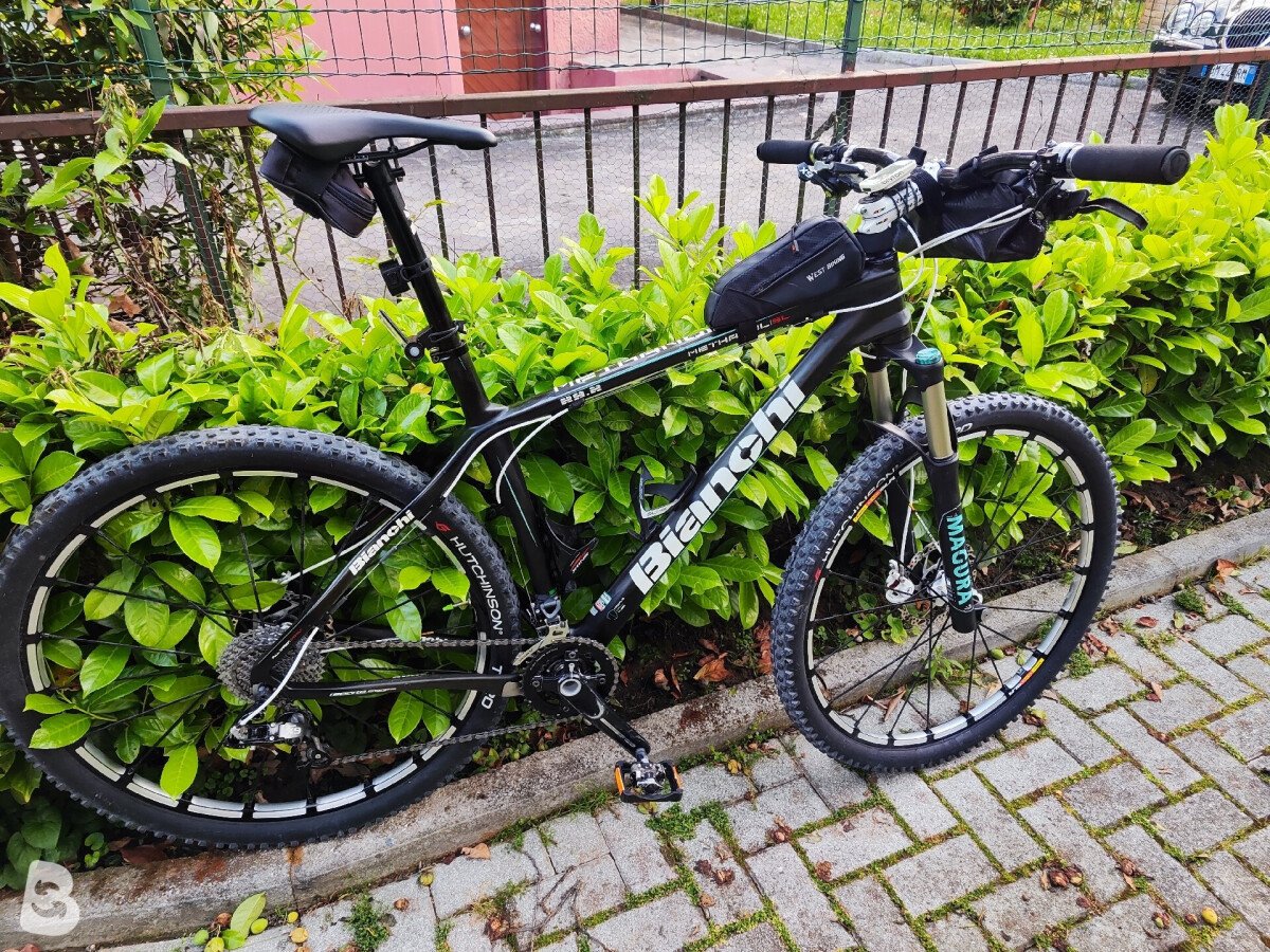 Bianchi Methanol 29 Carbonio 2013