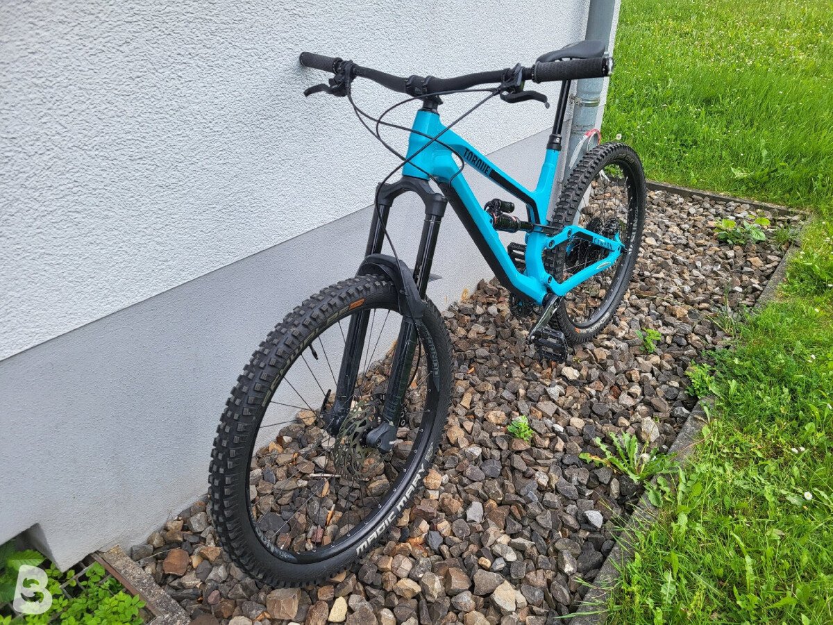 Canyon Torque AL 5.0 2019