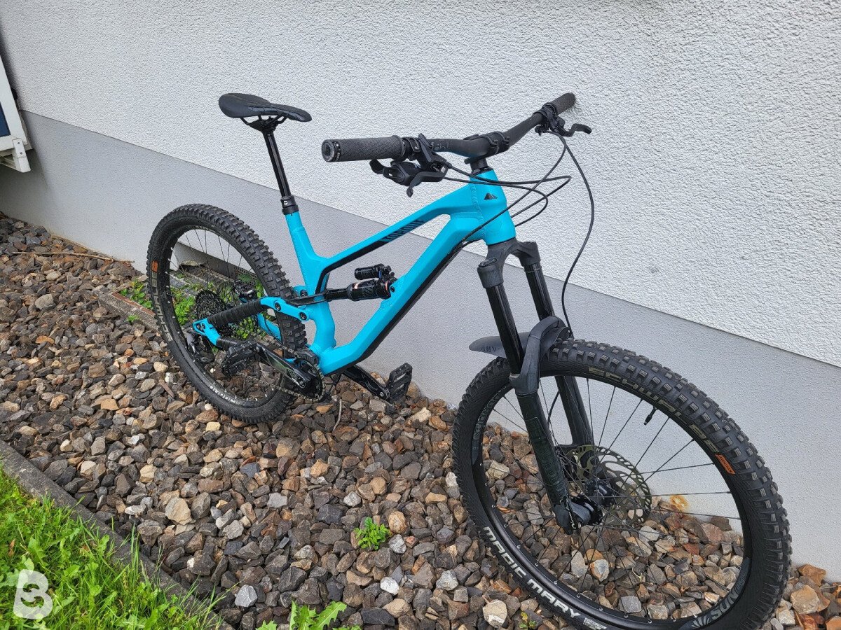 Canyon Torque AL 5.0 2019
