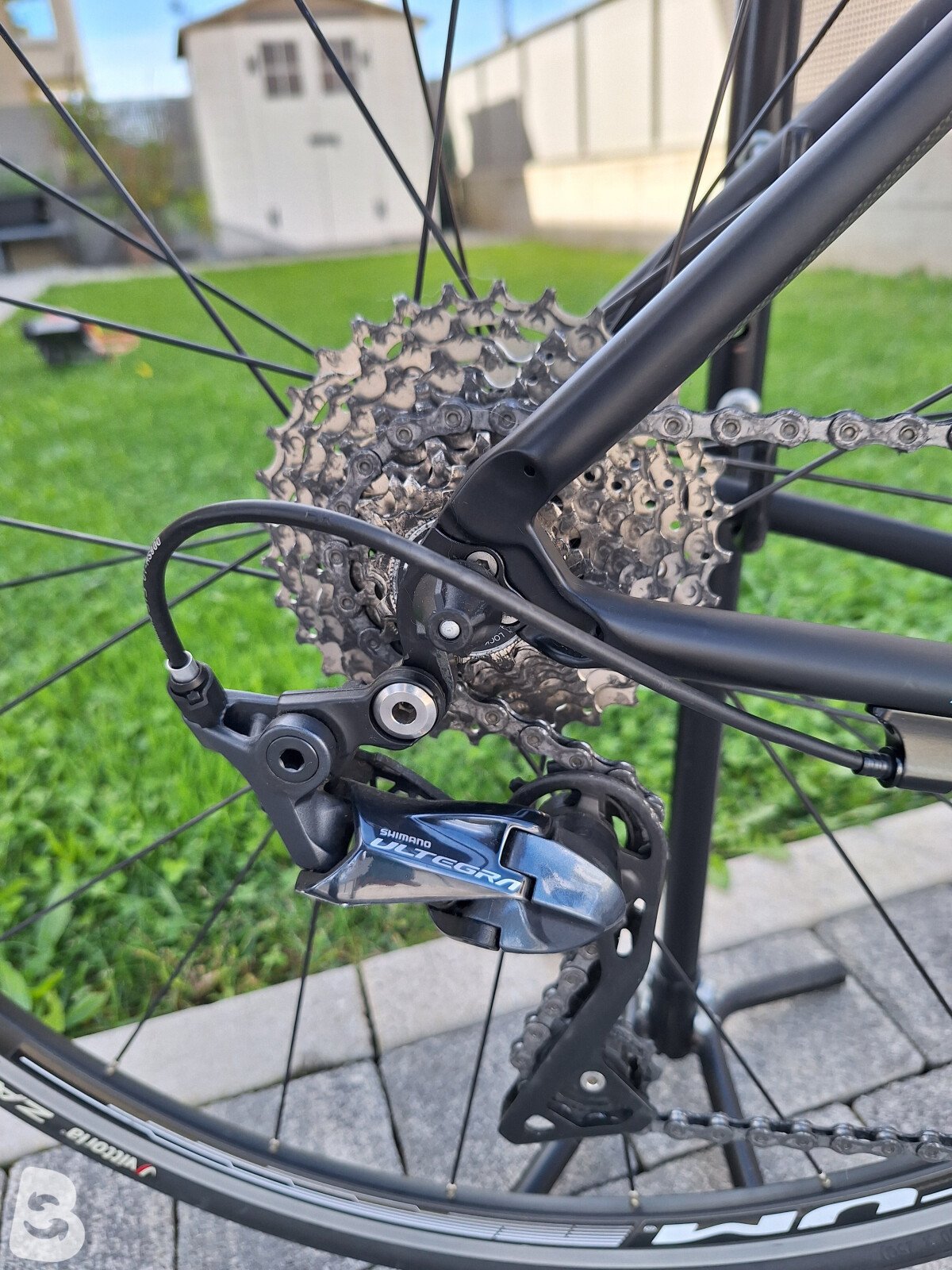 Bianchi Infinito CV Dama Ultegra 2019