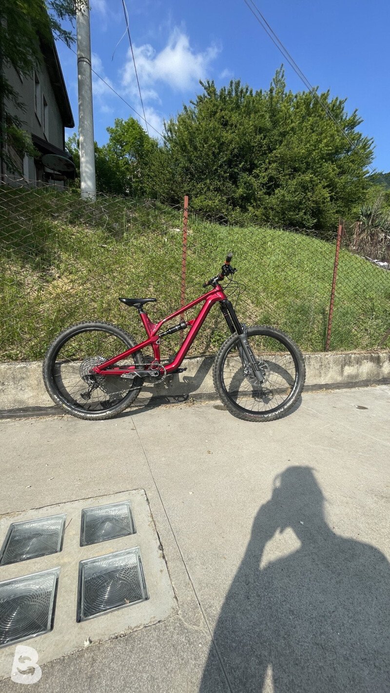 Canyon Spectral AL 5.0 2019