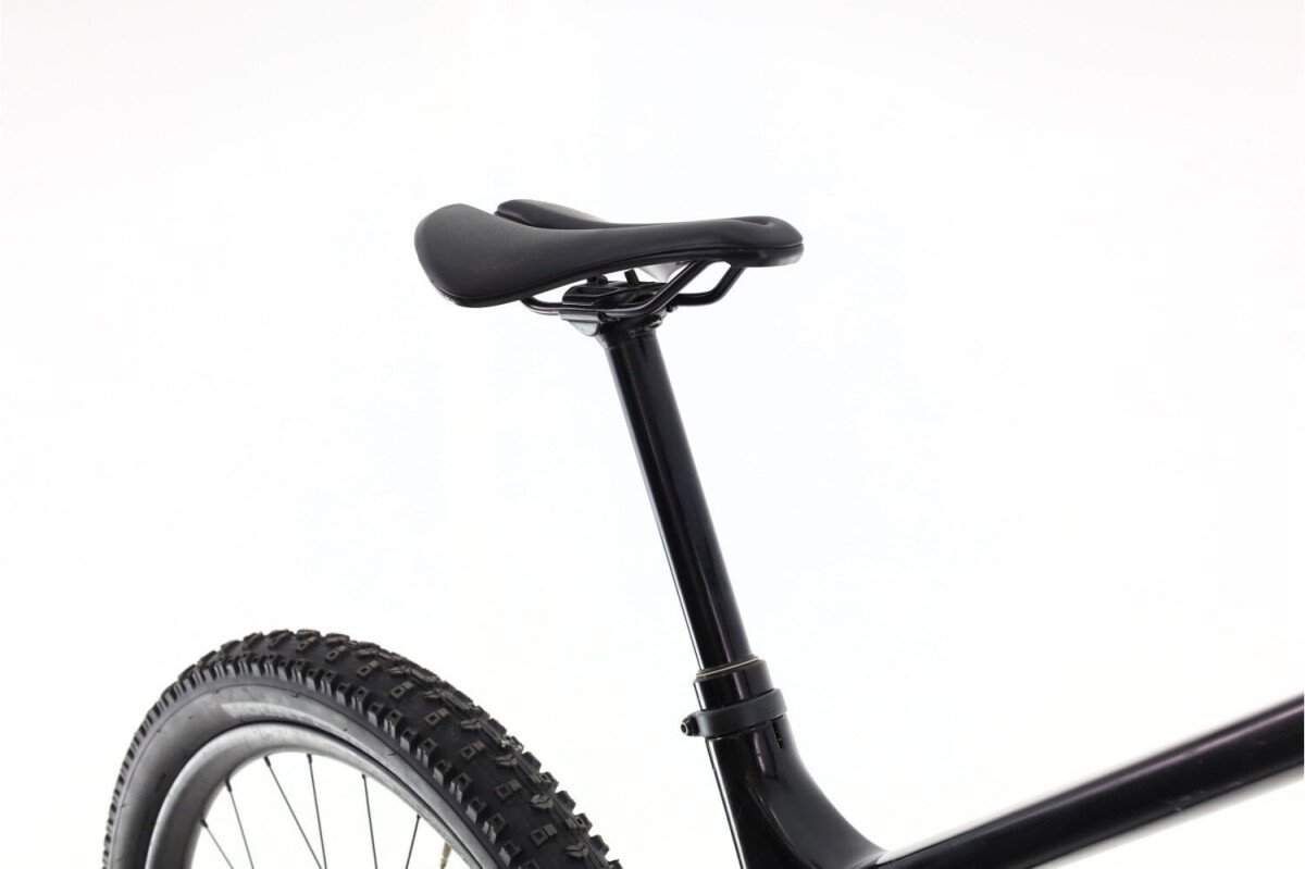 Trek Rail 9.8 GX AXS 2022