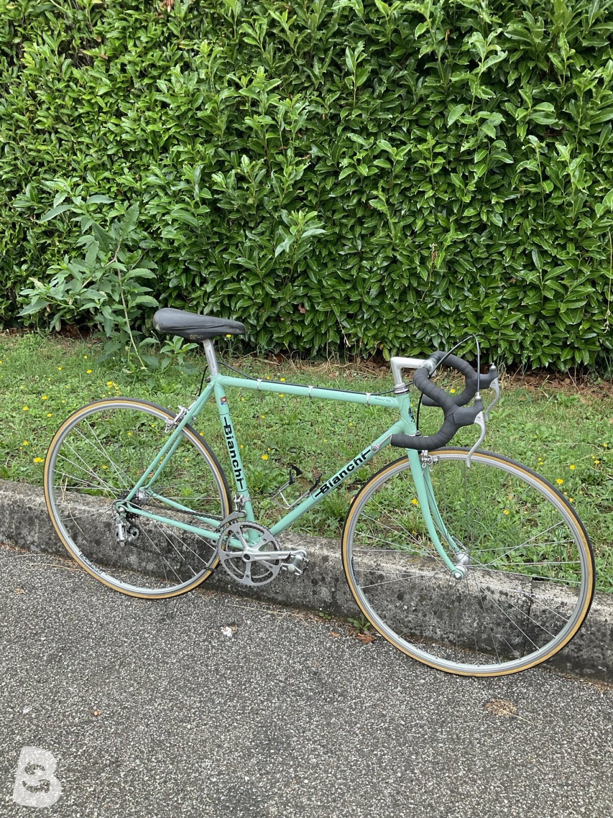 Bianchi 748 1980