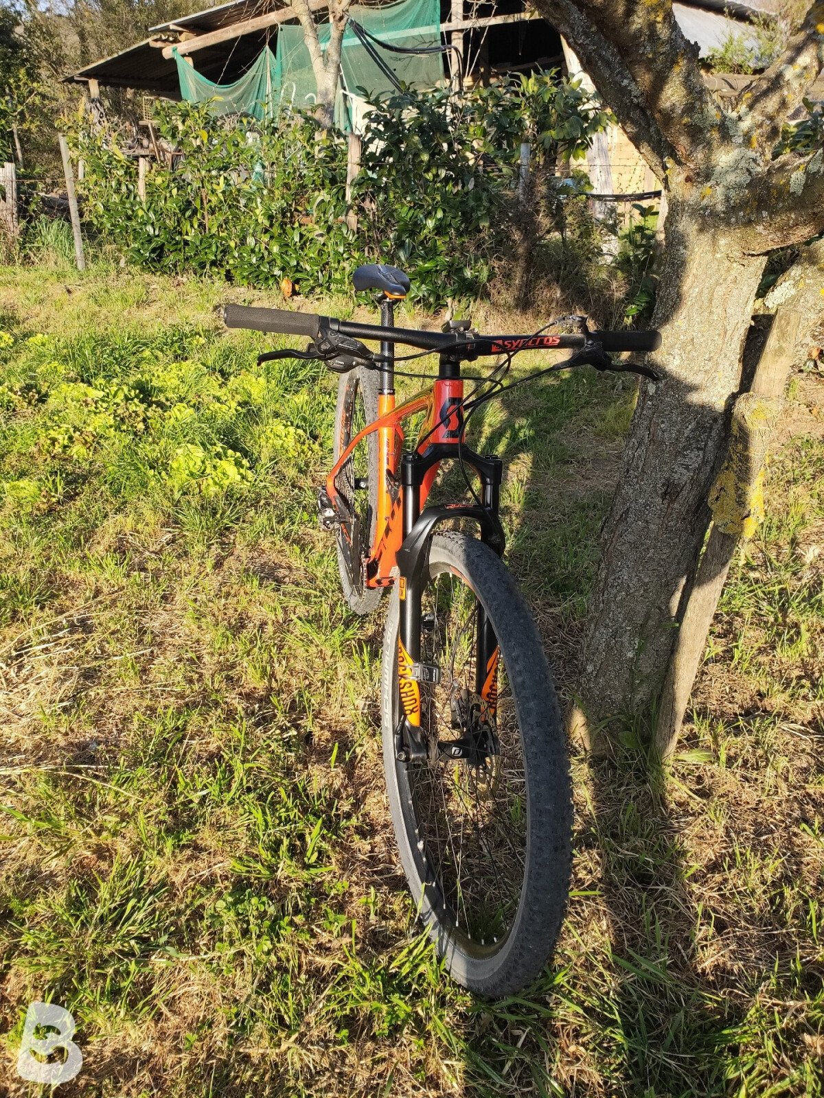 Scott 935 2018
