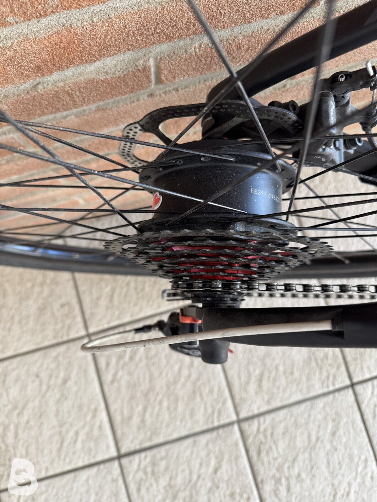 Ritchey +bici 2025