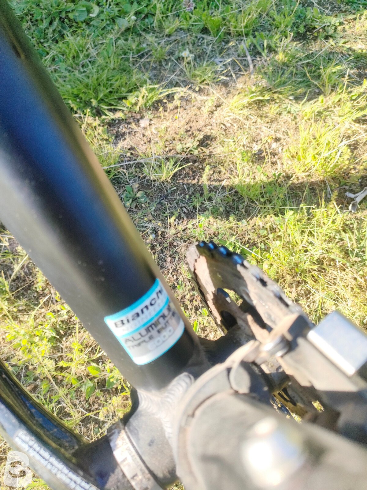 Bianchi Jab 2016