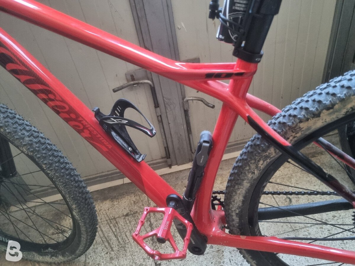 Wilier 101 x 2024