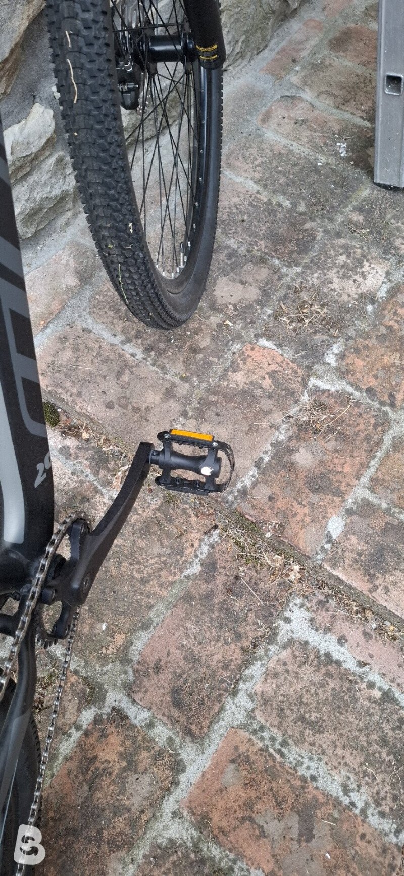 Cicli MBM Quarx 2021