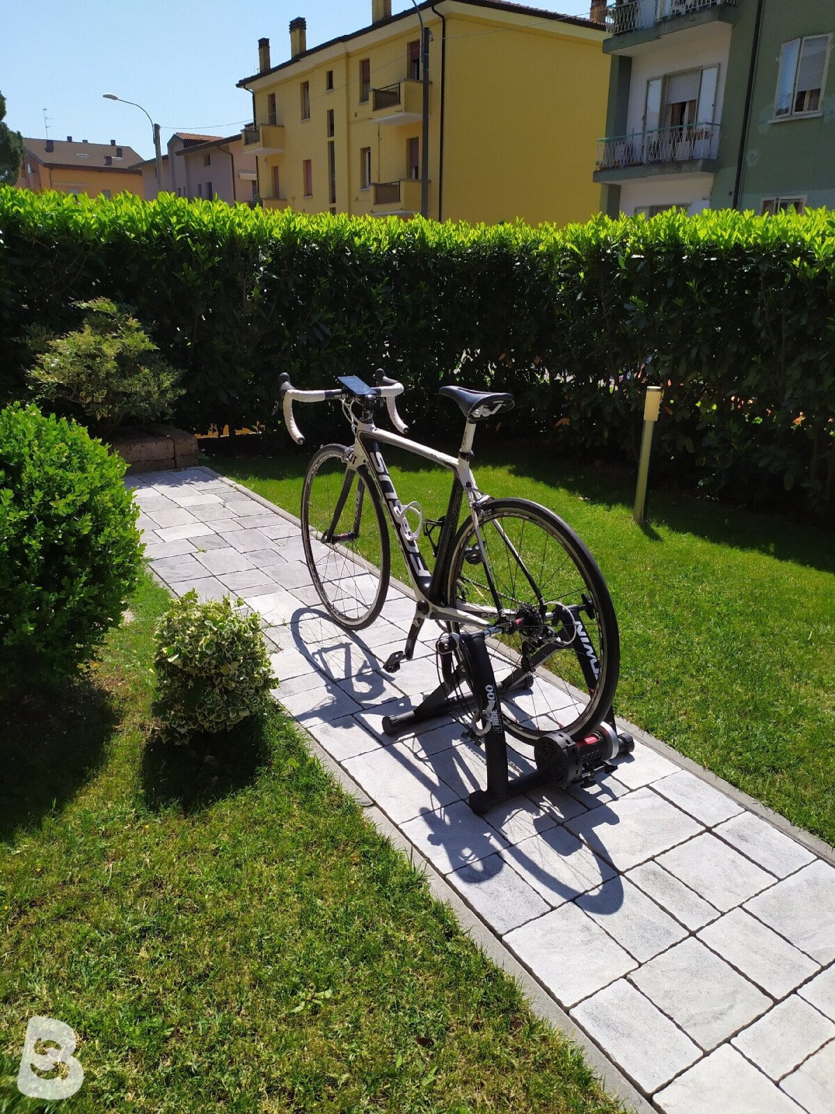 Focus Izalco Pro 2013