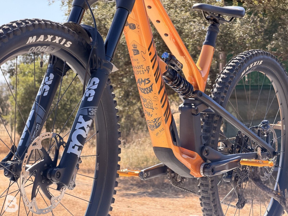 Canyon Spectral CF 8 CLLCTV 2024