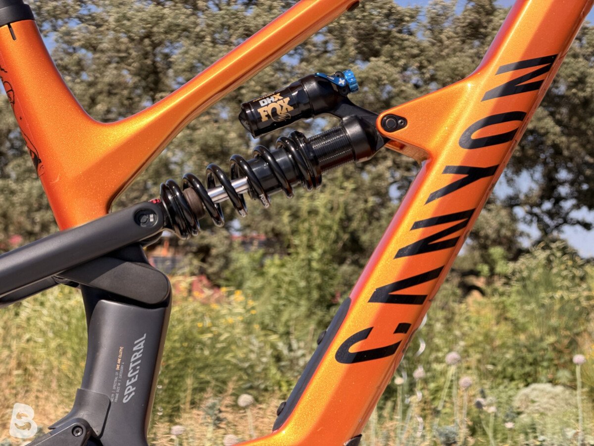 Canyon Spectral CF 8 CLLCTV 2024