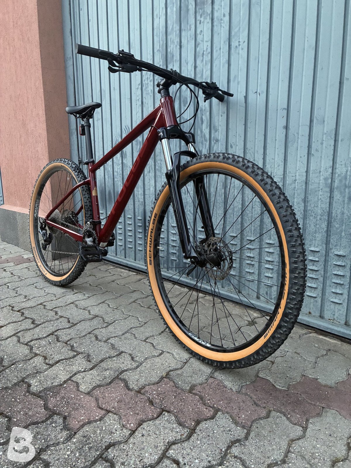 Focus Whistler 3.7 2020