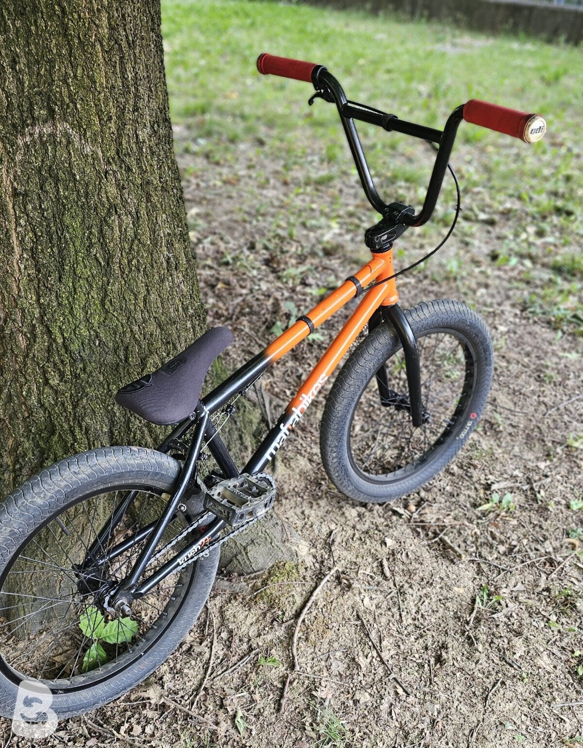 Mafia Bikes kush 2+ 2018