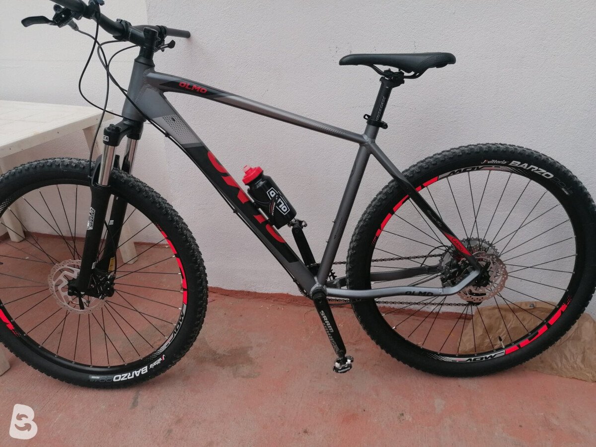 Olmo carmo 2024