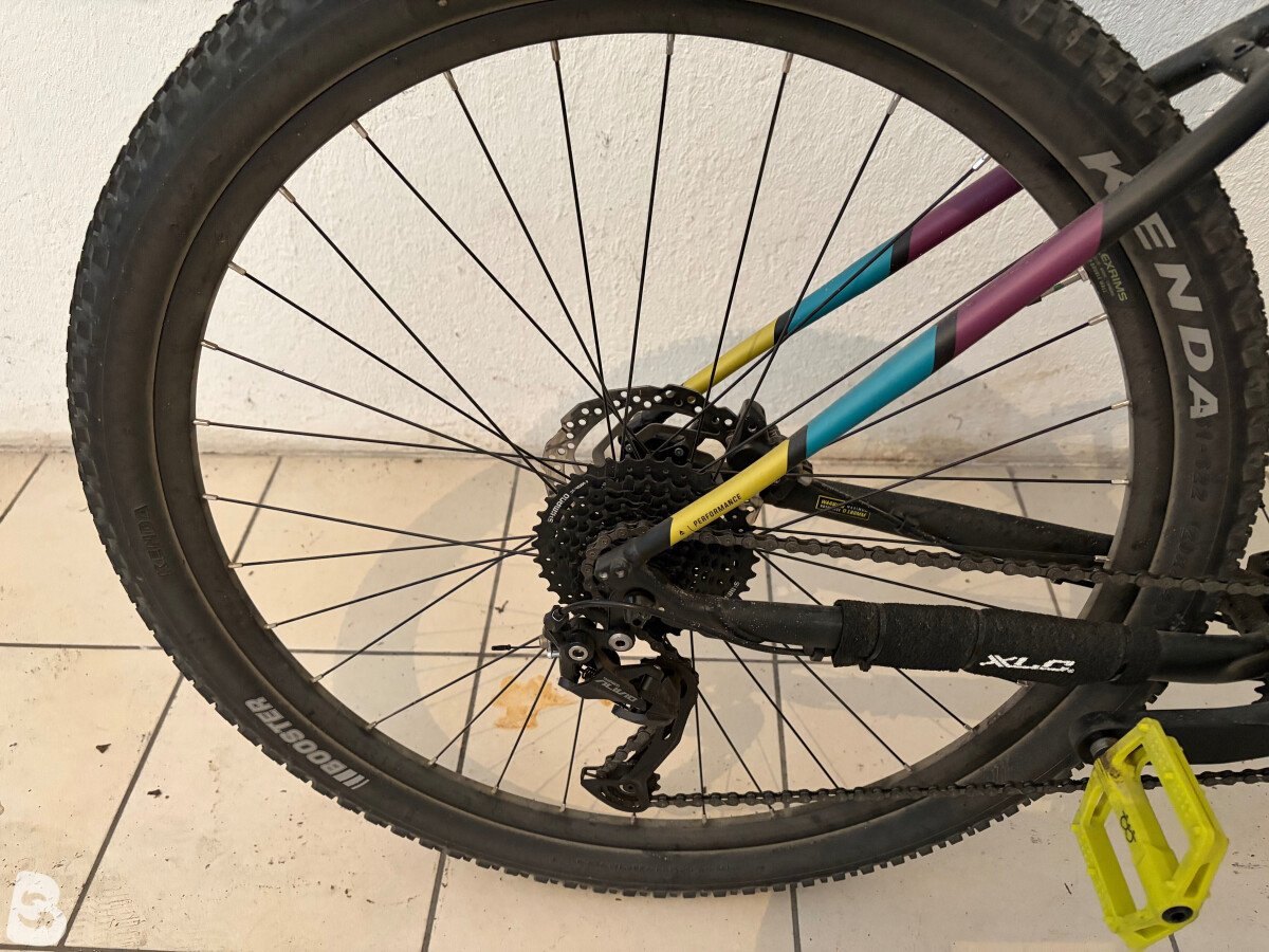 Bergamont Revox 5 2024
