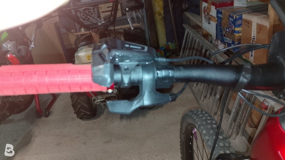 Whistle B-rusch a 4.5 2024