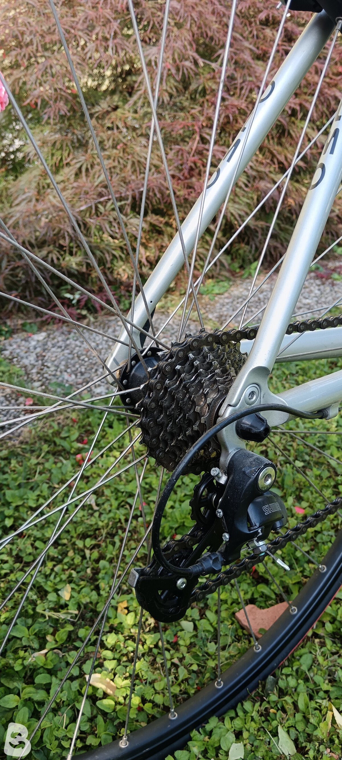 Olmo Impact 2000