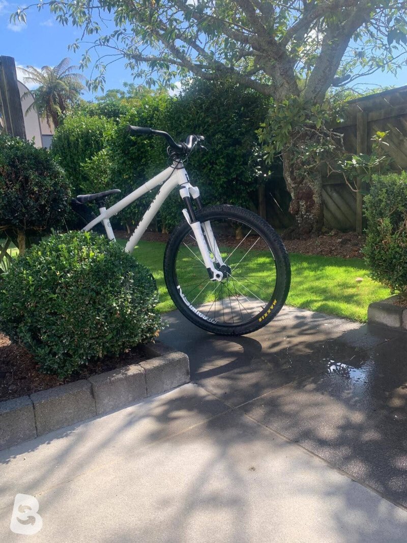 NS Bikes octane one zircus 2021