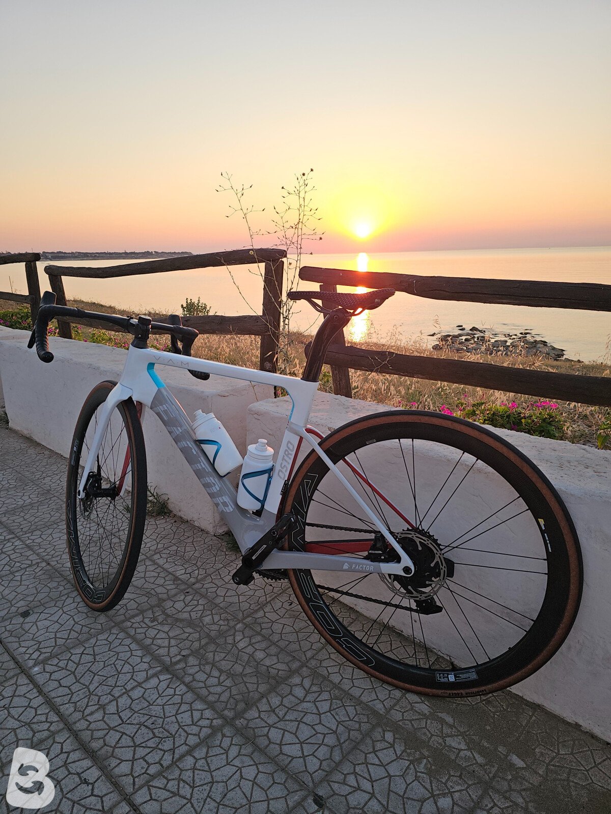 Factor Ostro Vam 2024